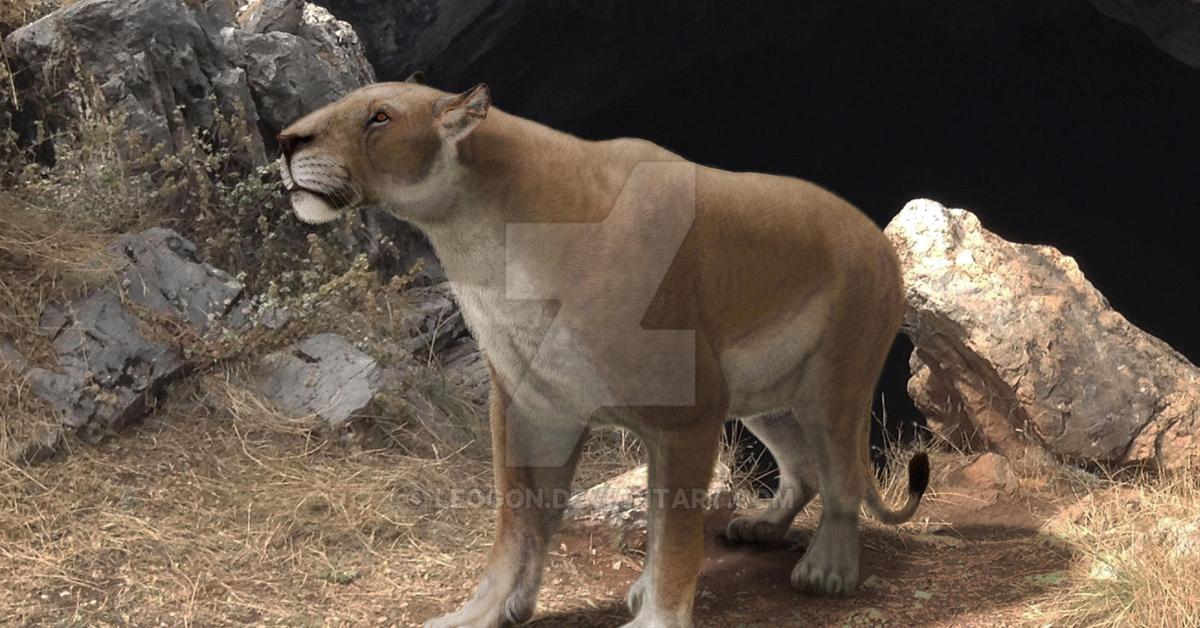 Charming view of the Cave Lion, in Indonesia referred to as Singa Gua.