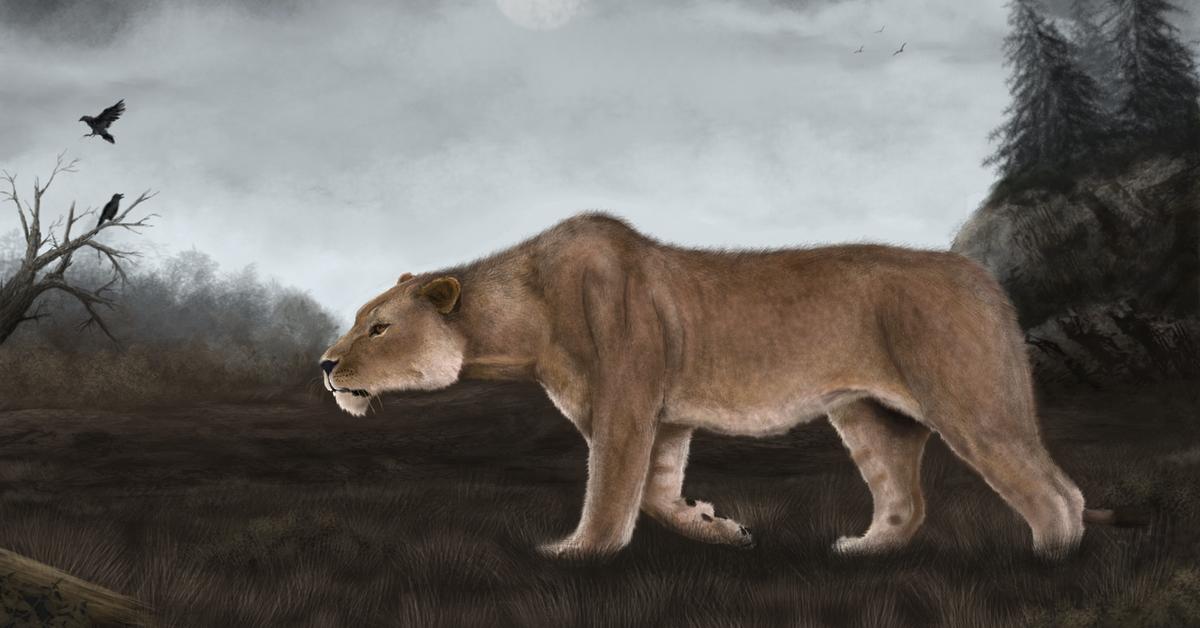 Vivid image of the Cave Lion, or Singa Gua in Indonesian context.