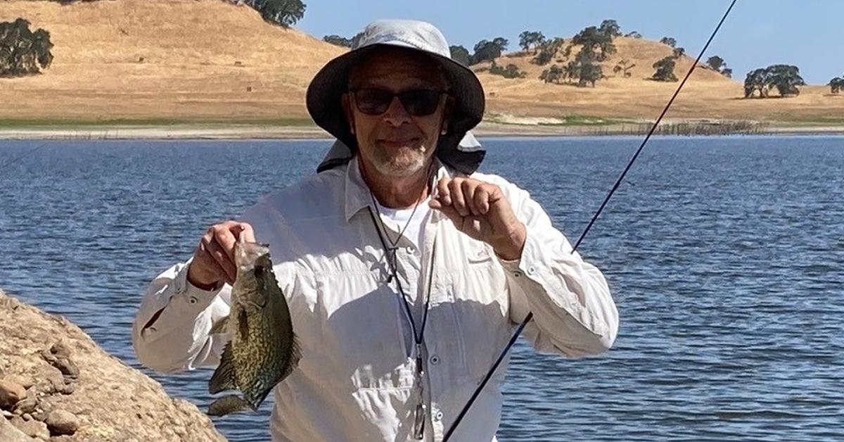 Captivating presence of the Crappie Fish, a species called Pomoxis.