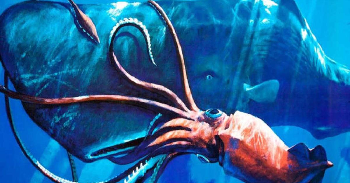 Insightful look at the Colossal Squid, known to Indonesians as Gurita Kolosal.