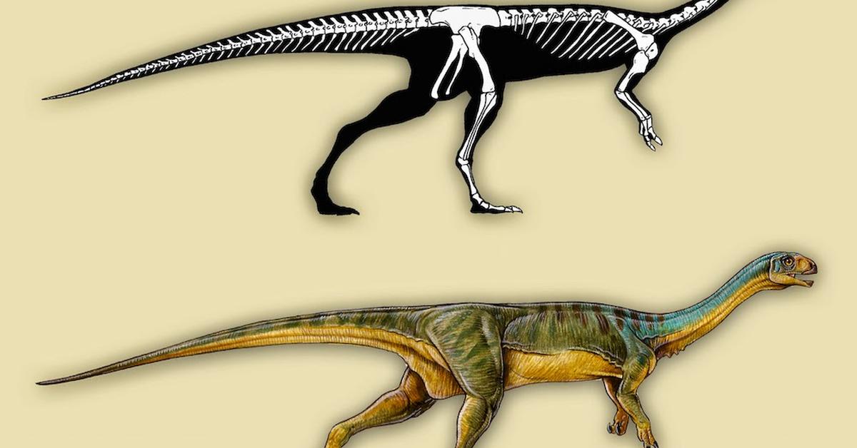 Engaging shot of the Chilesaurus, recognized in Indonesia as Chilesaurus.