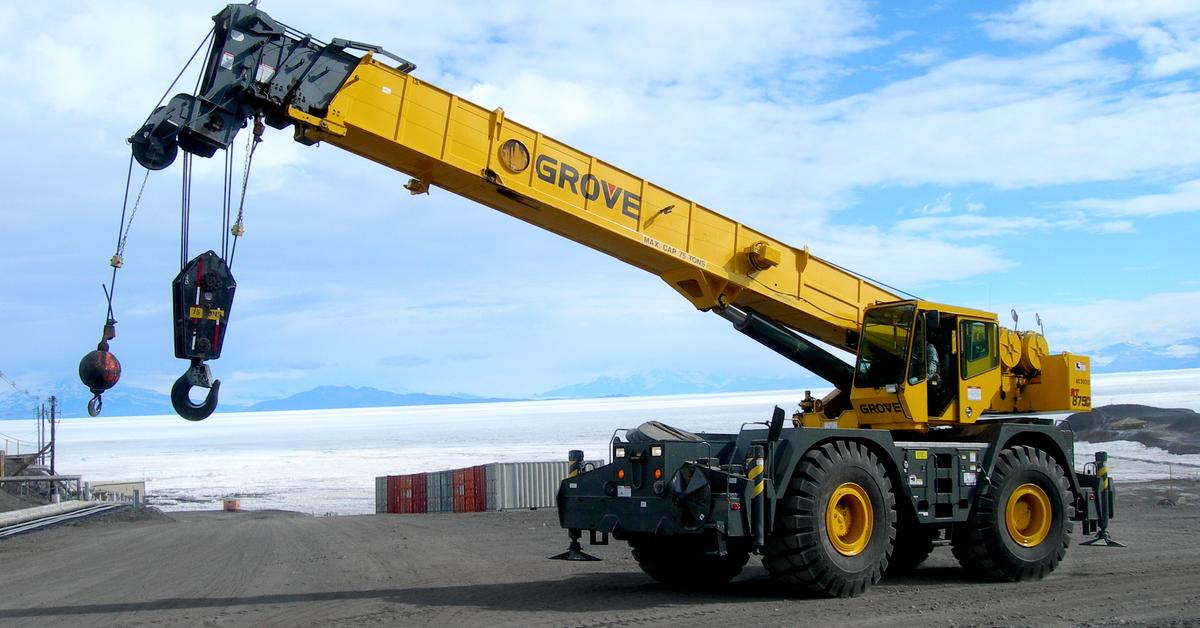 Close-up view of the Crane, known as Bangau in Indonesian.