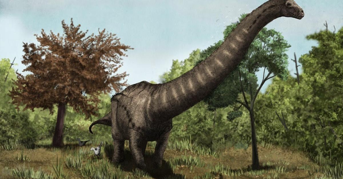 Striking appearance of the Dreadnoughtus, known in scientific circles as Dreadnoughtus.