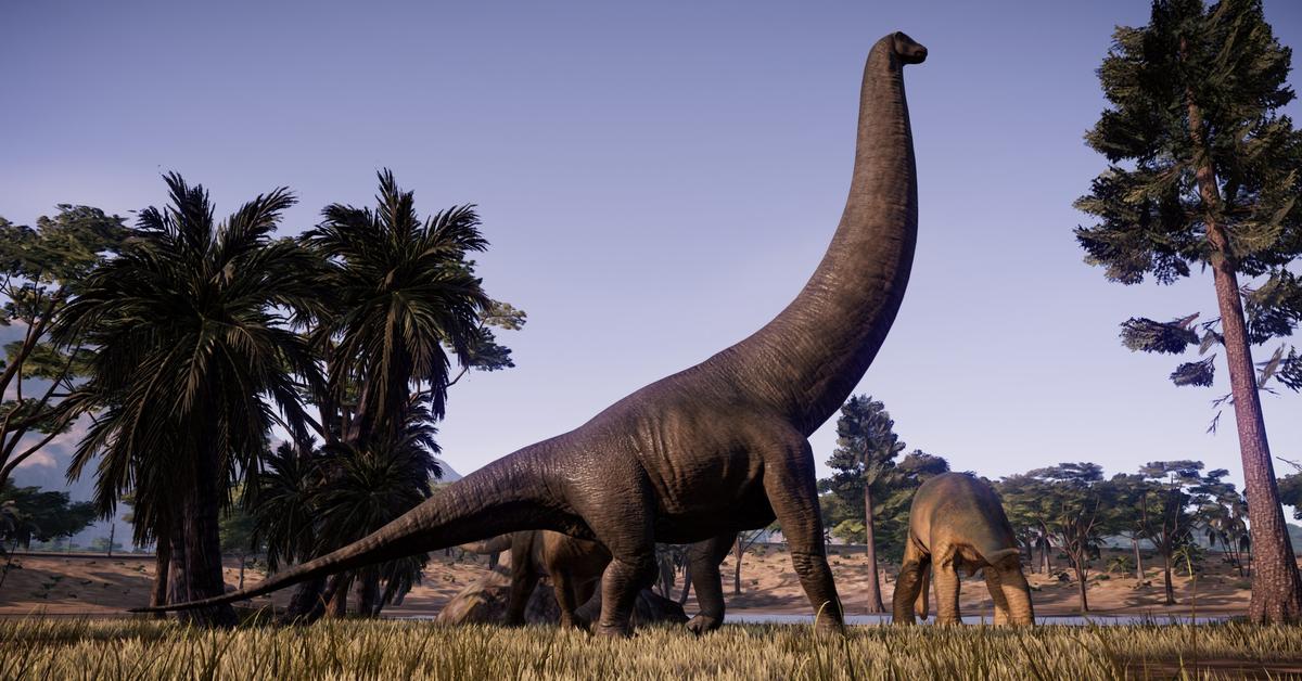 Glimpse of the Dreadnoughtus, known in the scientific community as Dreadnoughtus.