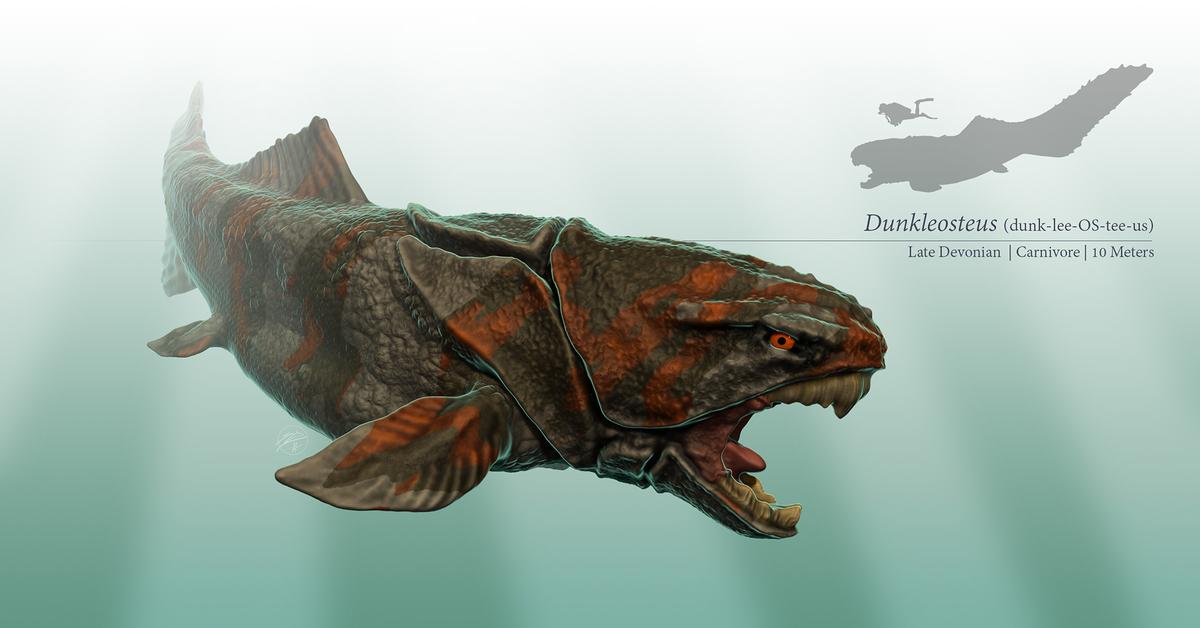 Portrait of a Dunkleosteus, a creature known scientifically as Dunkleosteus terrelli.