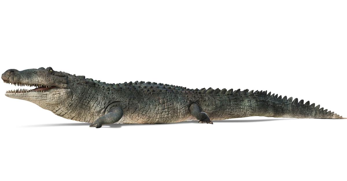 Iconic view of the Deinosuchus, or Deinosuchus hatcheri, in its habitat.