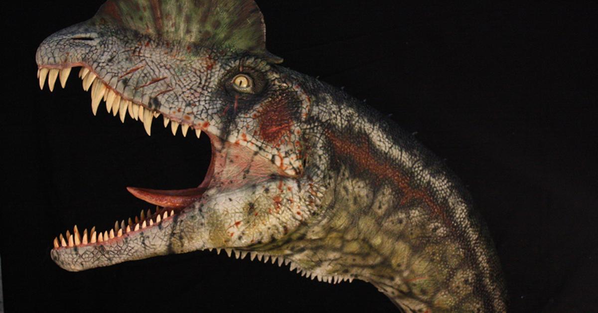 Dynamic image of the Dilophosaurus, popularly known in Indonesia as Dilophosaurus.