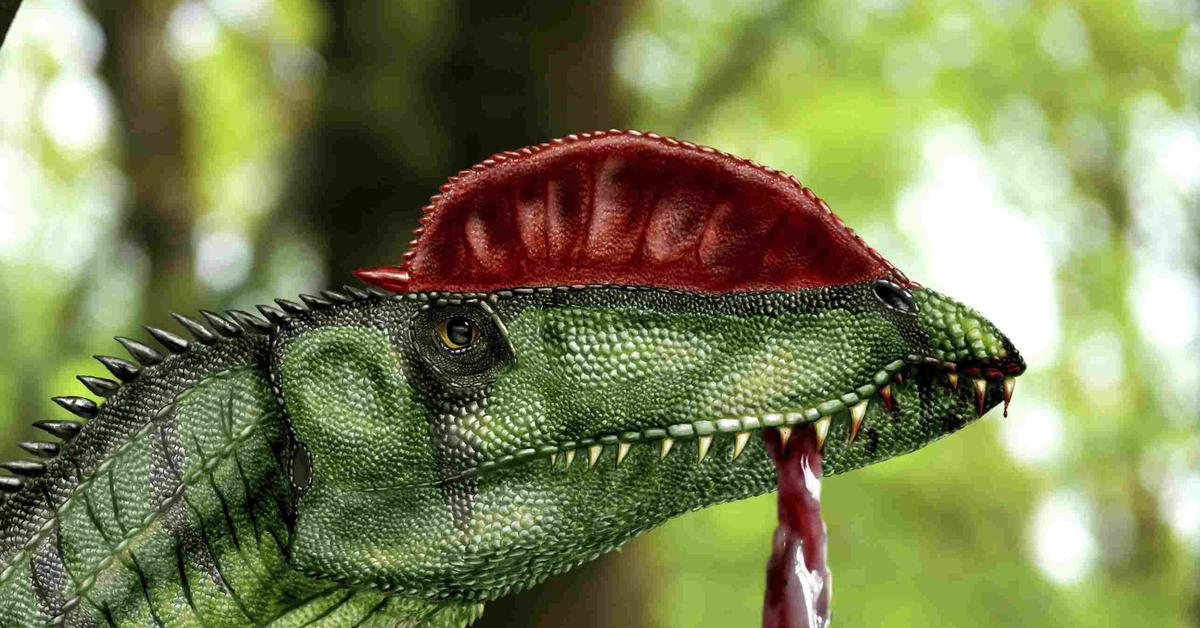 Elegant portrayal of the Dilophosaurus, also known as Dilophosaurus wetherilli.