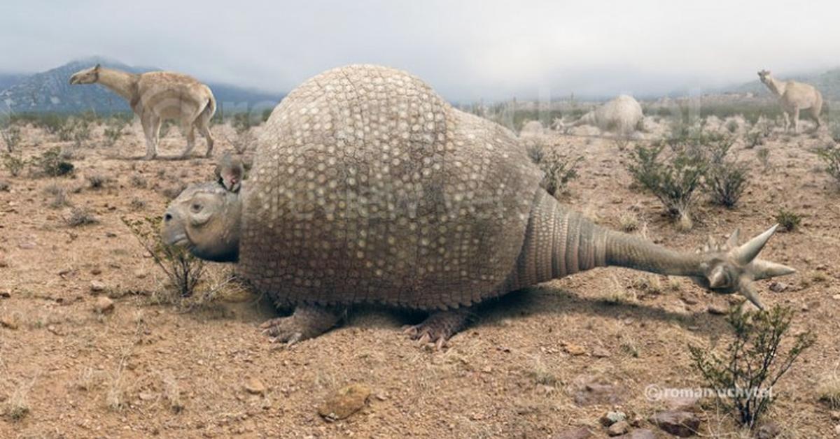 Detailed shot of the Doedicurus, or Doedicurus clavicaudatus, in its natural setting.