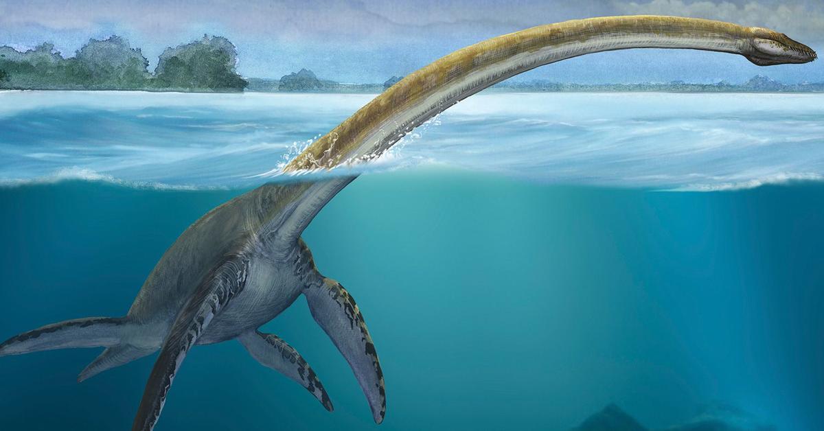 The elegant Elasmosaurus (†Elasmosaurus platyurus), a marvel of nature.