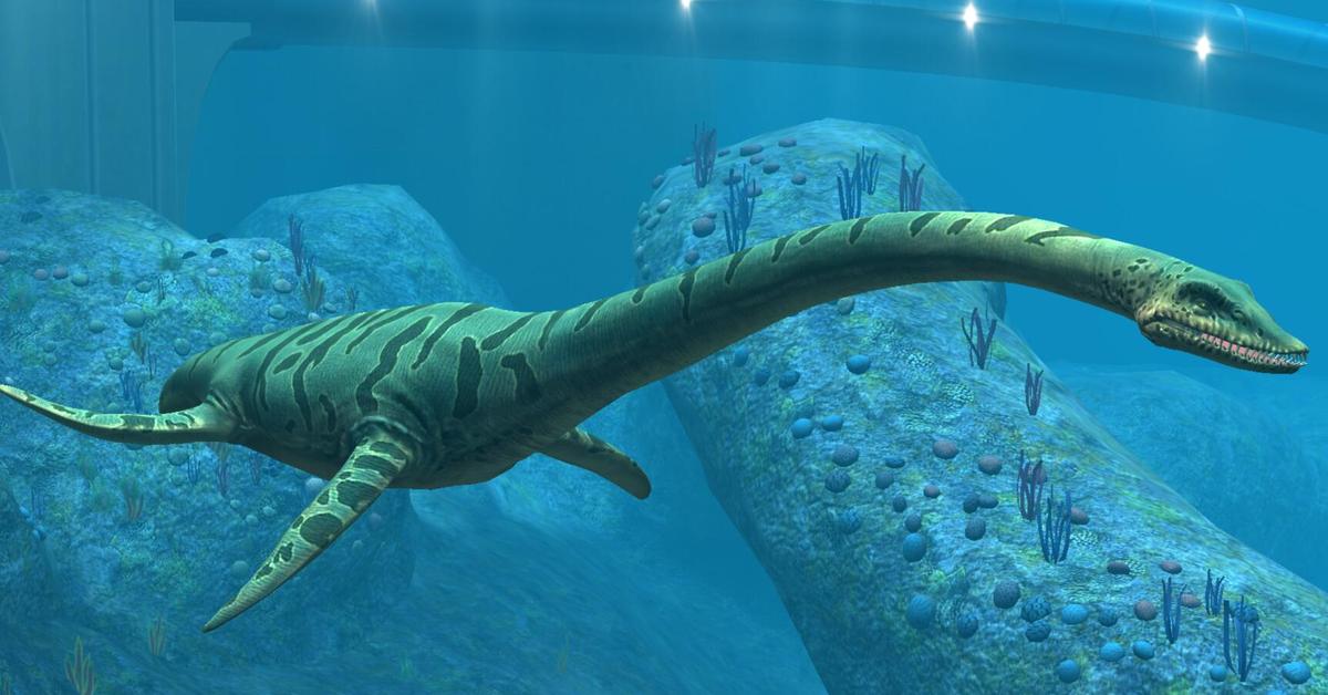 The elegant Elasmosaurus (†Elasmosaurus platyurus), a marvel of nature.