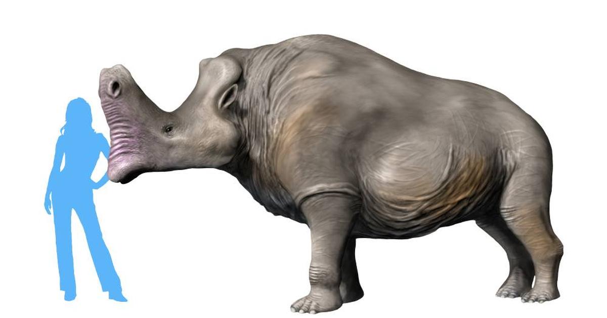 Visual representation of the Embolotherium, recognized in Indonesia as Embolotherium.