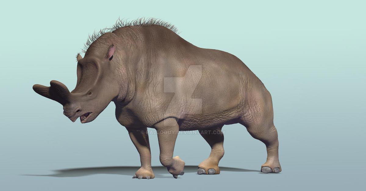 Distinctive Embolotherium, in Indonesia known as Embolotherium, captured in this image.