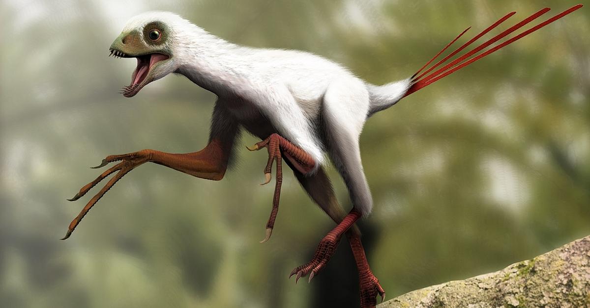 Image showcasing the Epidexipteryx, known in Indonesia as Epidexipteryx.