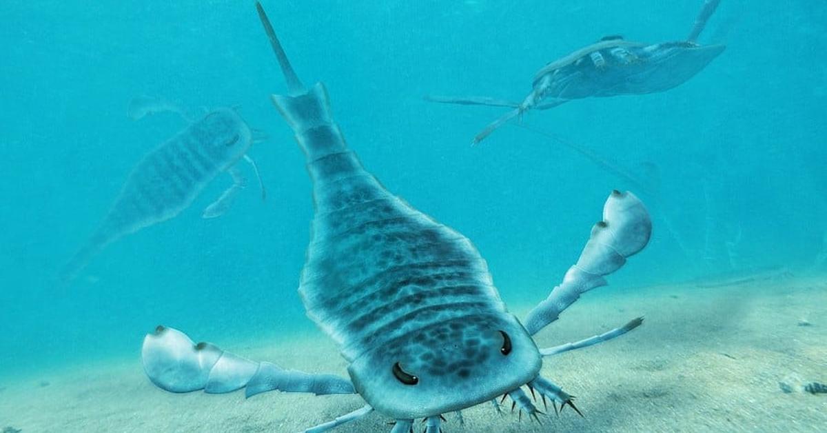 Stunning depiction of Eurypterus, also referred to as Eurypterida.