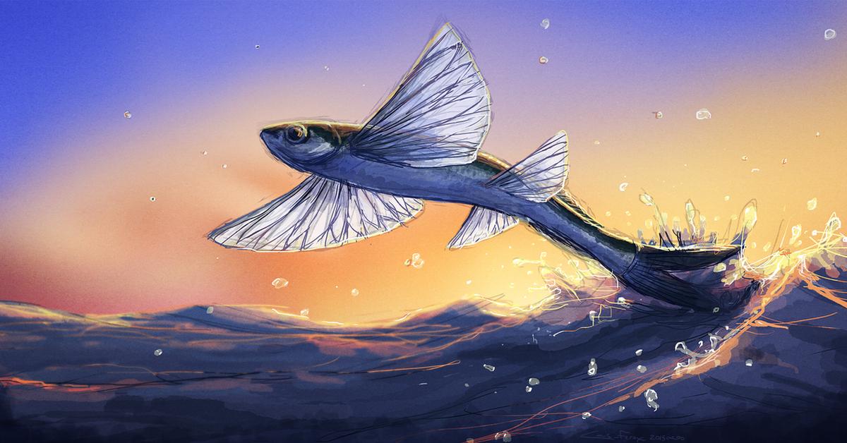 The Flying Fish, an example of Exocoetidae, in its natural environment.