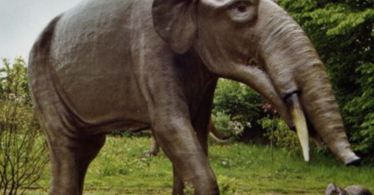 Portrait of a Gomphotherium, a creature known scientifically as Gomphotheriidae.