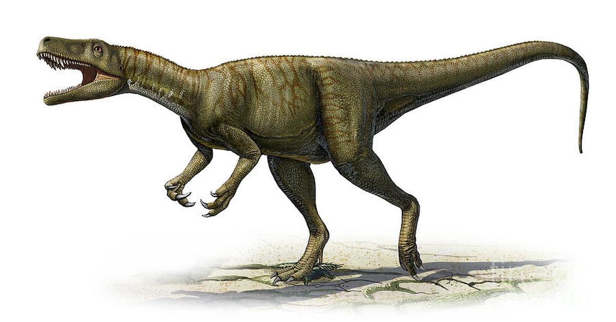 The Herrerasaurus, an example of Herrerasaurus ischigualastensis, in its natural environment.