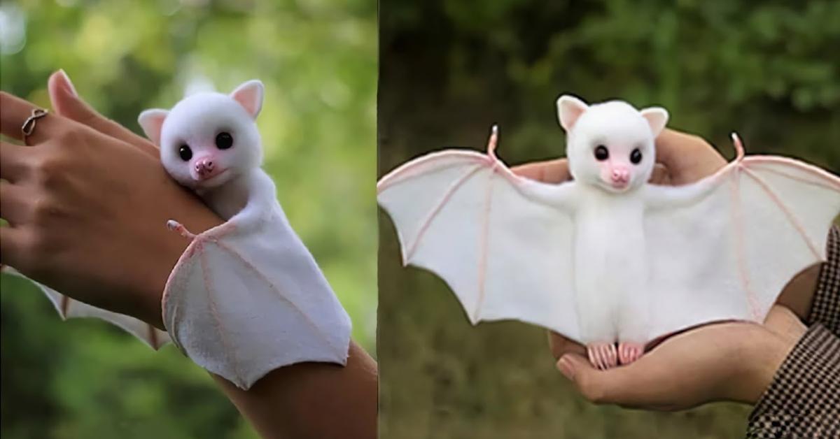 Photographic depiction of the unique Honduran White Bat, locally called Kelelawar Putih Honduras.