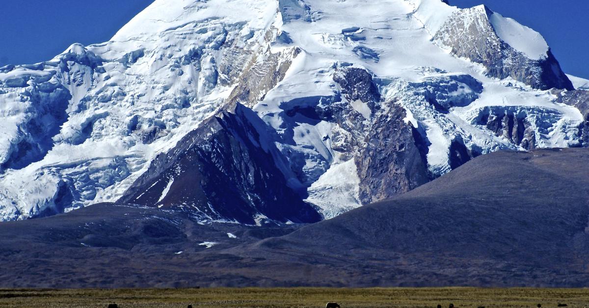 Image showcasing the Himalayan, known in Indonesia as Himalaya.