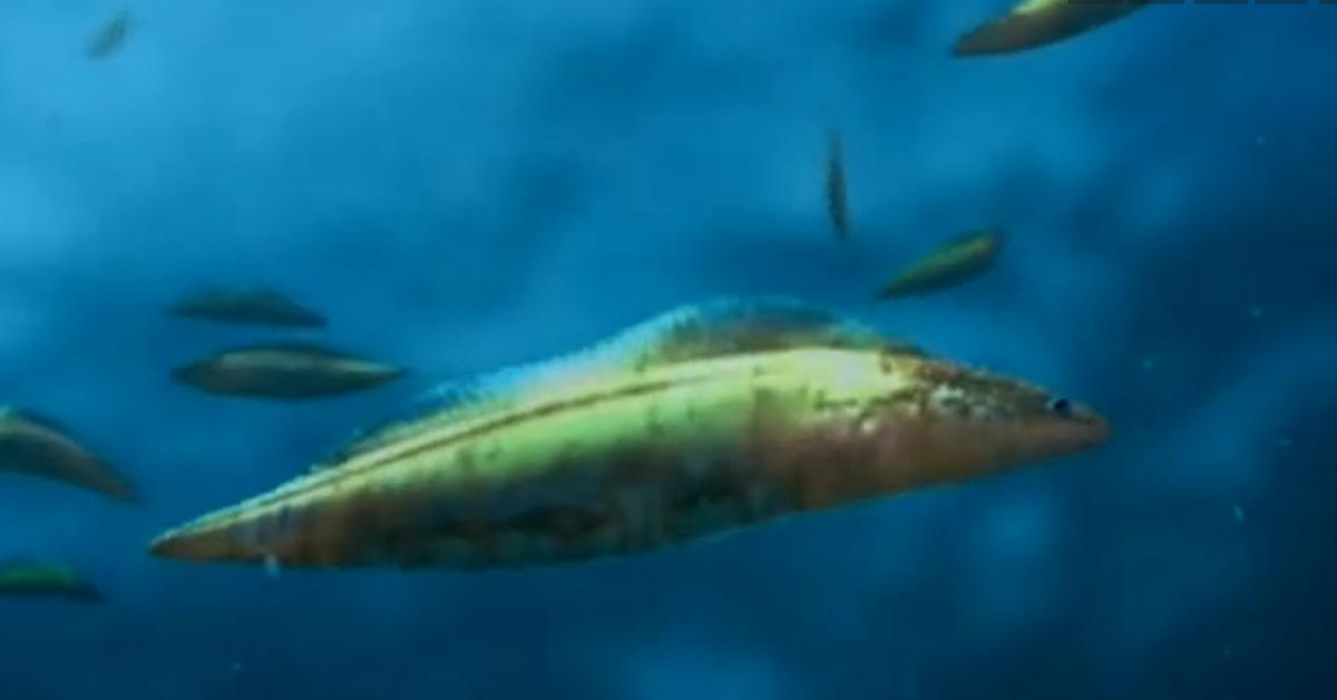 Unique portrayal of the Haikouichthys, also called Haikouichthys in Bahasa Indonesia.