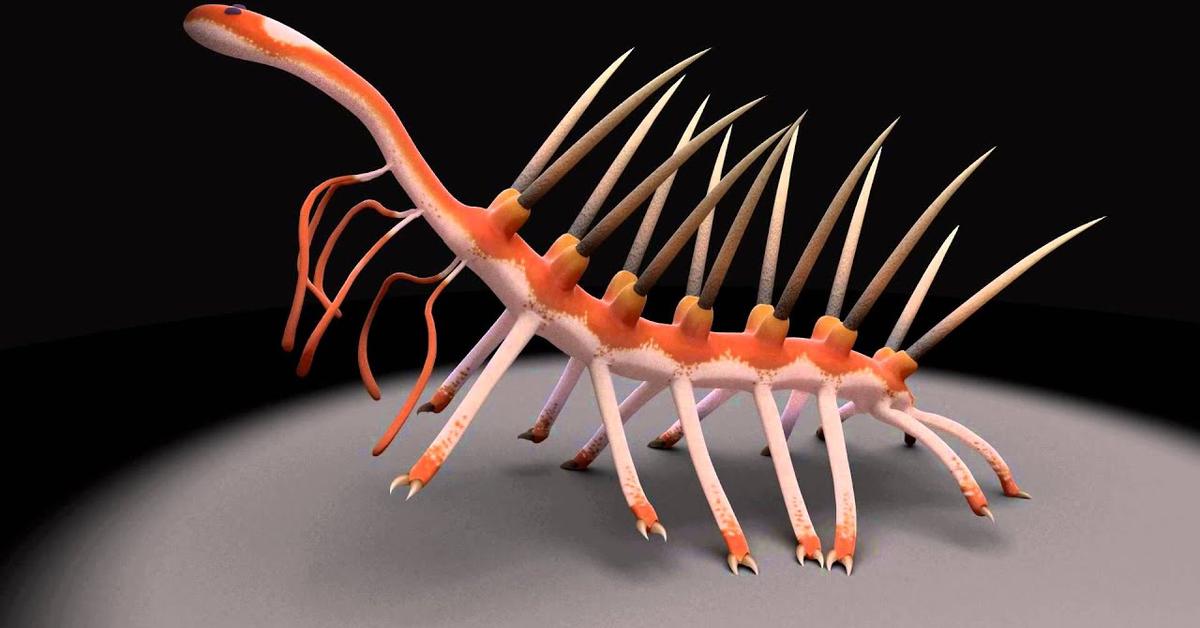 Enchanting Hallucigenia, a species scientifically known as Hallucigenia sparsa.