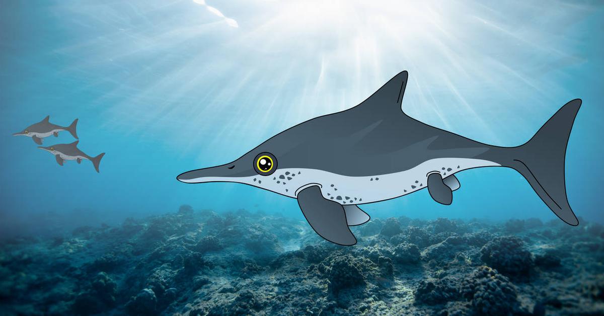 The remarkable Ichthyosaurus (Ichthyosaurus communis), a sight to behold.