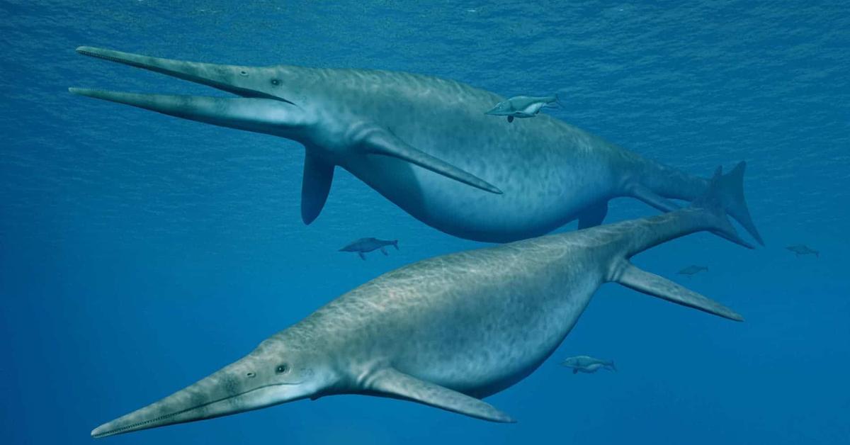 The Ichthyosaurus, an example of Ichthyosaurus communis, in its natural environment.