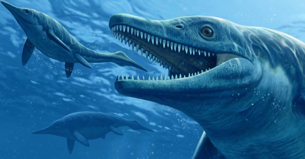 Portrait of a Ichthyosaurus, a creature known scientifically as Ichthyosaurus communis.