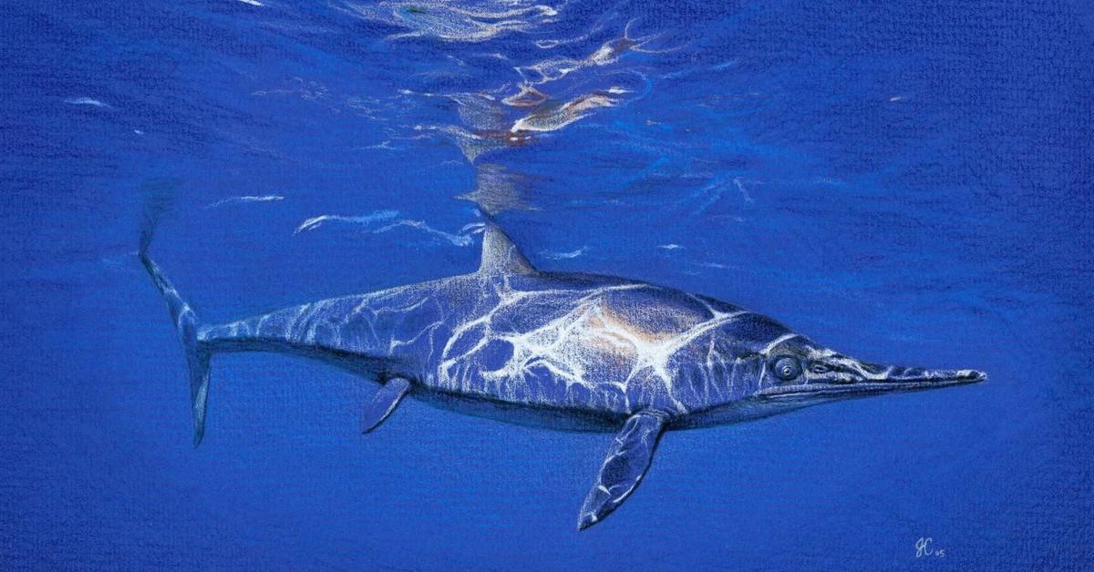 Charming view of the Ichthyosaurus, in Indonesia referred to as Ichthyosaurus.