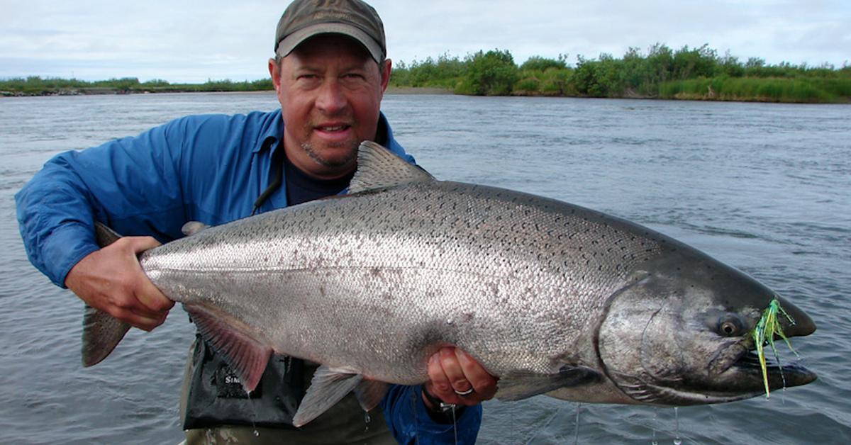 Stunning image of the King Salmon (Oncorhynchus tshawytscha), a wonder in the animal kingdom.