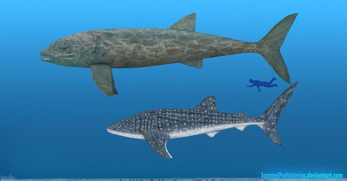 Captivating presence of the Leedsichthys, a species called Leedsichthys problematicus.