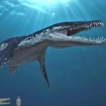 Image of the Liopleurodon (Liopleurodon), popular in Indonesia as Liopleurodon.