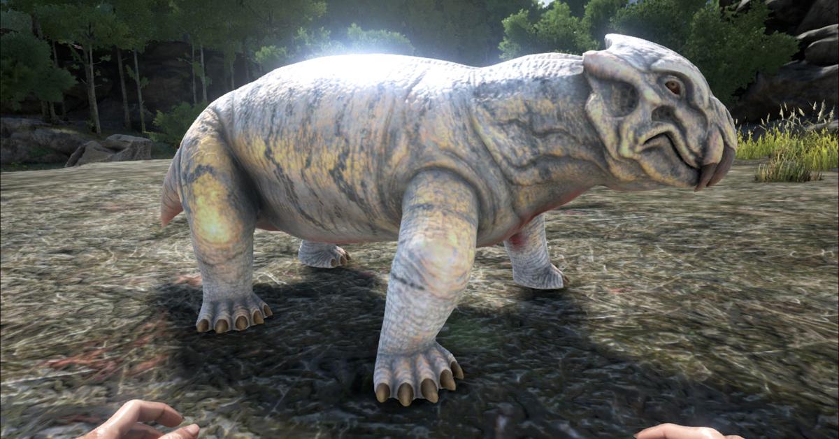 The Lystrosaurus in its natural beauty, locally called Lystrosaurus.