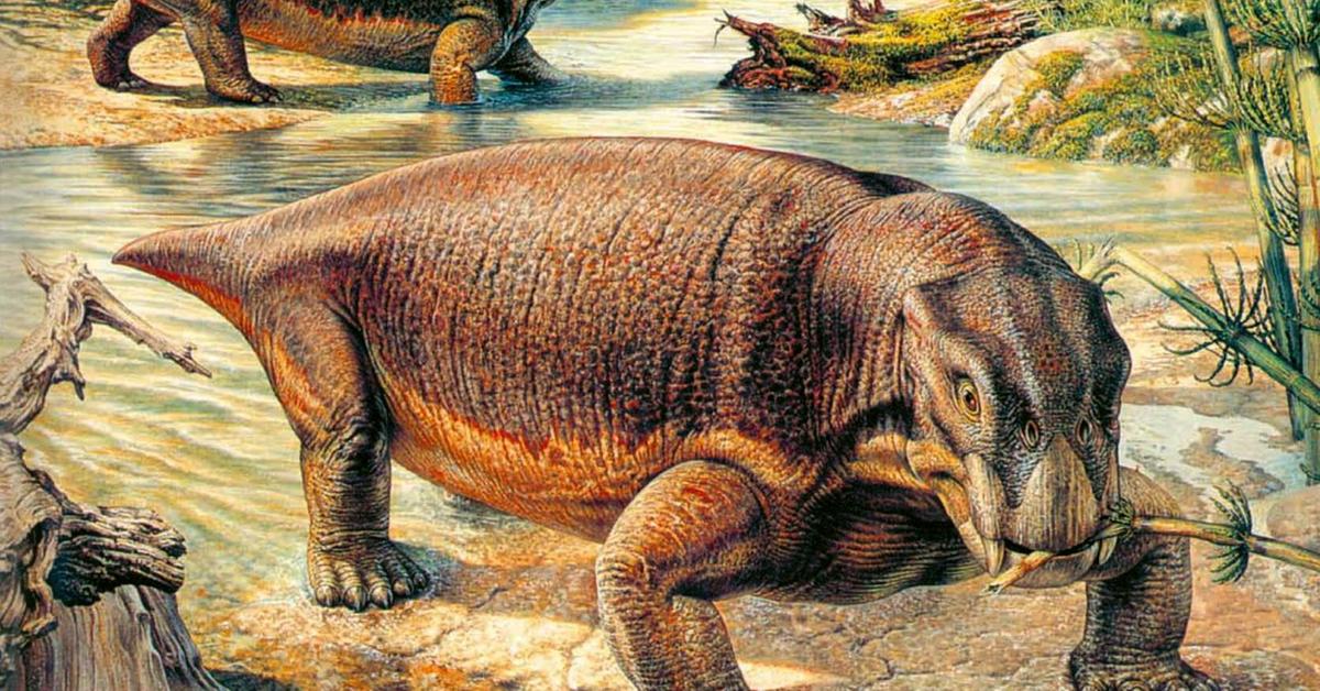 The Lystrosaurus, a beautiful species also known as Lystrosaurus in Bahasa Indonesia.