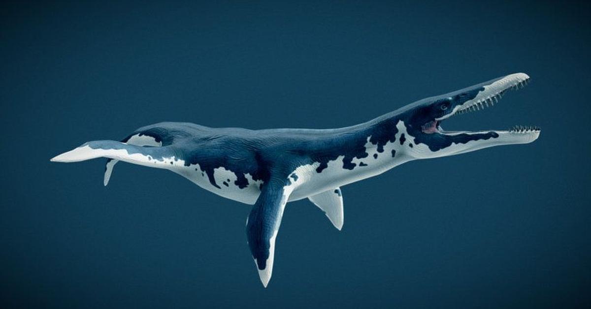 Striking appearance of the Liopleurodon, known in scientific circles as Liopleurodon ferox.