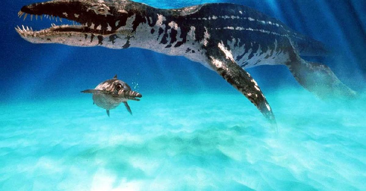 Glimpse of the Liopleurodon, known in the scientific community as Liopleurodon ferox.