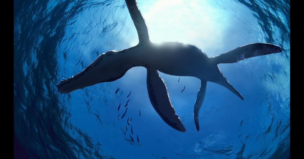 The alluring Liopleurodon, commonly referred to as Liopleurodon in Bahasa Indonesia.