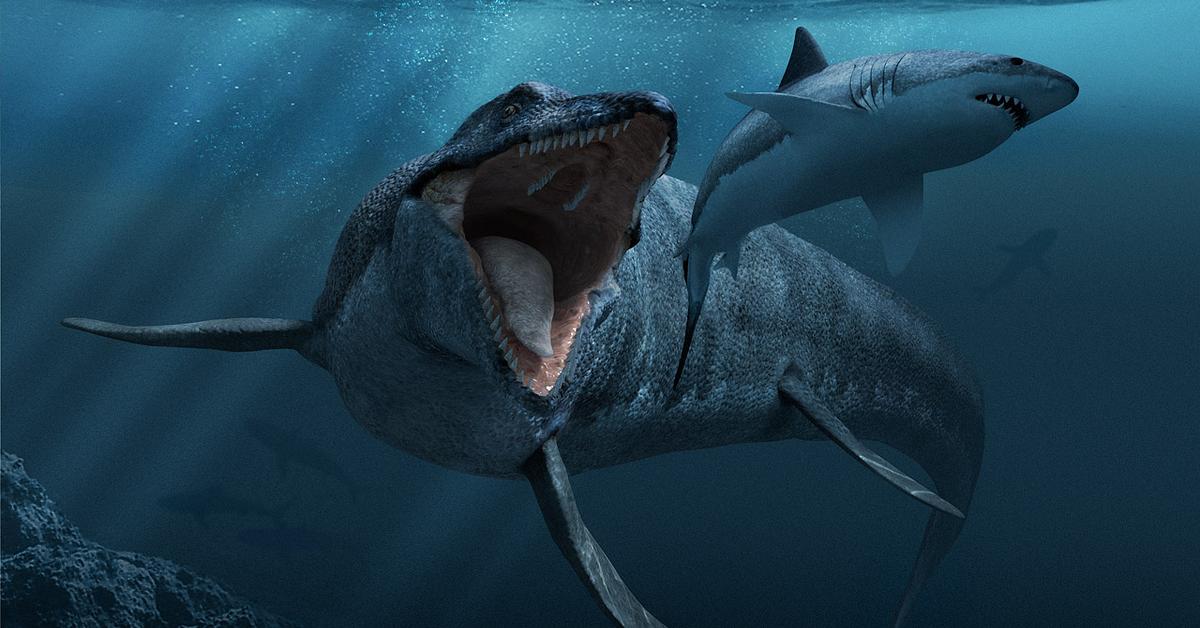 Elegant Mosasaurus in its natural habitat, called Mosasaurus in Indonesia.