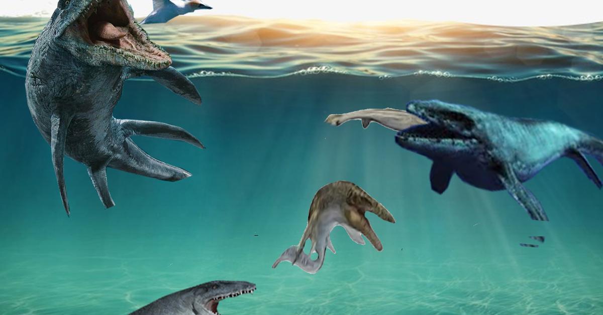 Enchanting Mosasaurus, a species scientifically known as Mosasaurus hoffmannii.