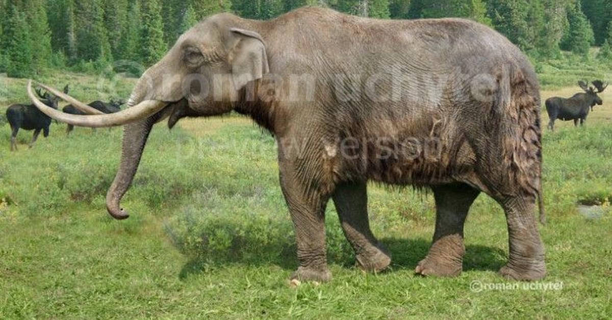 A beautiful representation of the Megatherium, scientifically M. americanum.