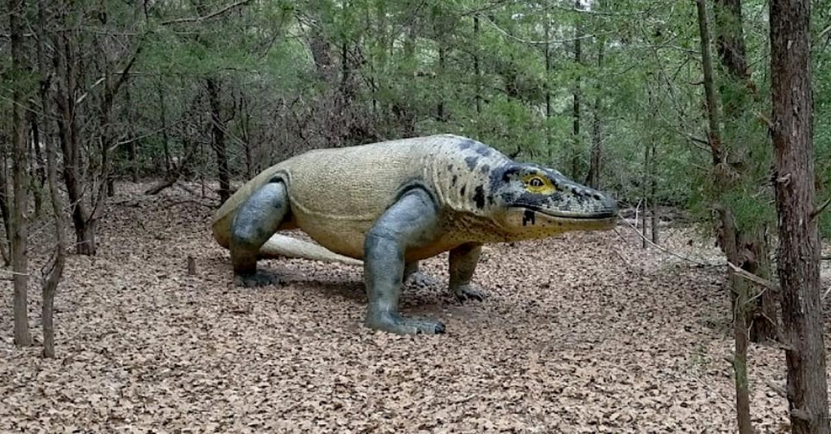 Picture of Megalania, known in Indonesia as Megalania.