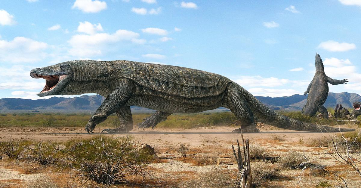 The fascinating Megalania, scientifically known as Varanus priscus.