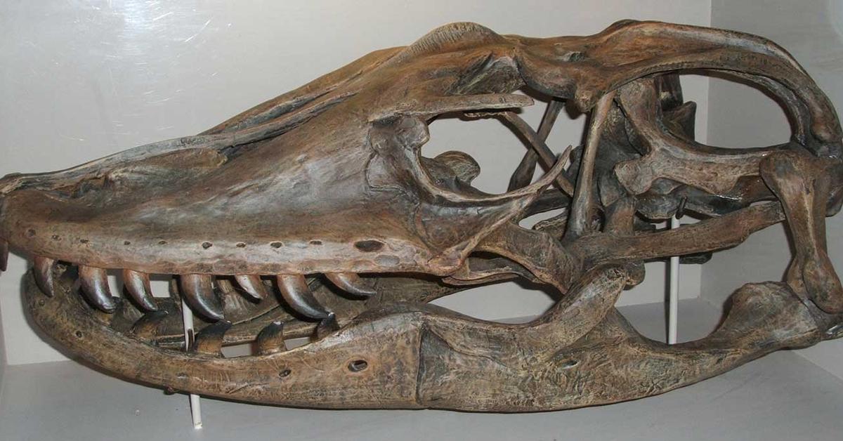 Image showcasing the Megalania, known in Indonesia as Megalania.