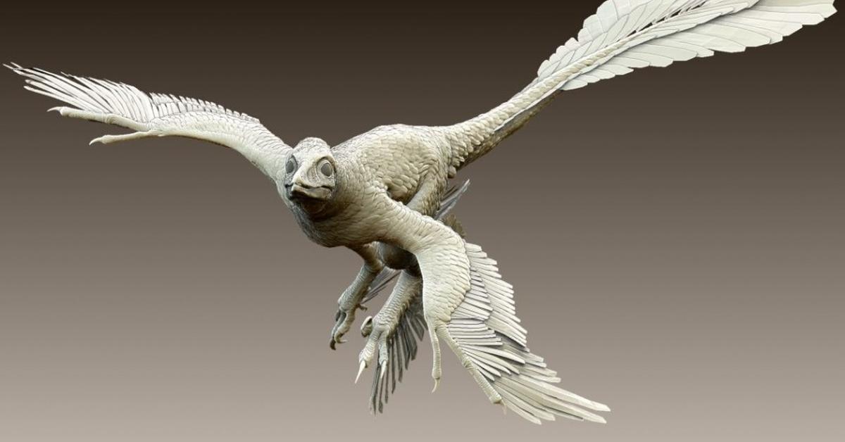 The Microraptor, a beautiful species also known as Microraptor in Bahasa Indonesia.