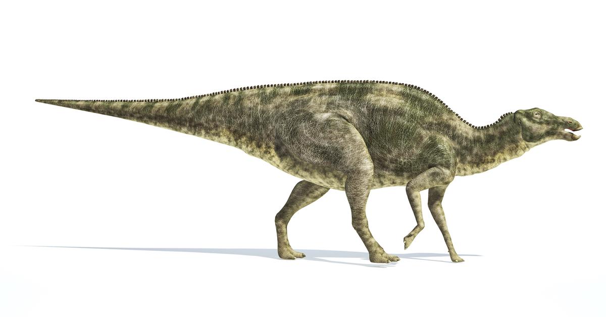 The Maiasaura, a species known as †Maiasaura peeblesorum, in its natural splendor.