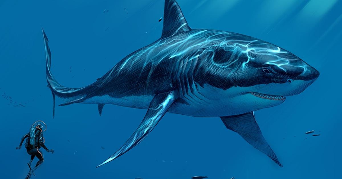 Stunning image of the Megalodon (Otodus megalodon), a wonder in the animal kingdom.