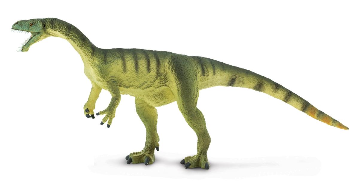 Photographic depiction of the unique Masiakasaurus, locally called Masiakasaurus.