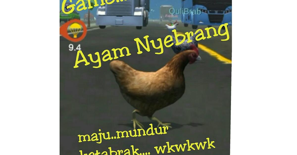 Engaging shot of the Modern Game Chicken, recognized in Indonesia as Ayam Modern Game.