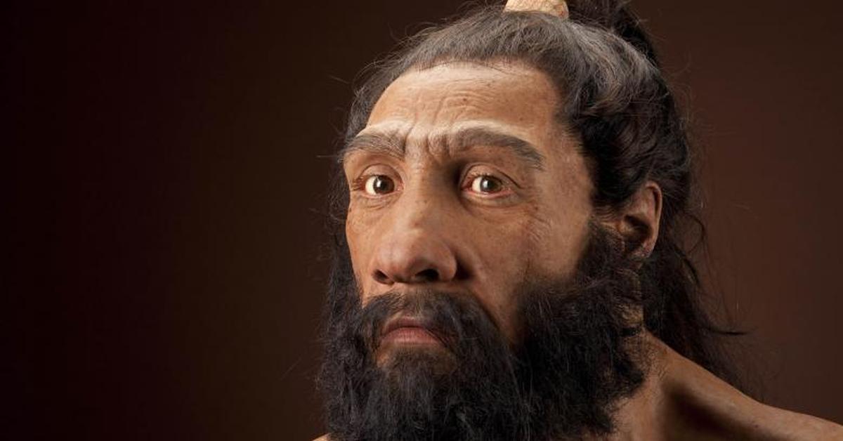 Captured elegance of the Neanderthal, known in Indonesia as Neanderthal.